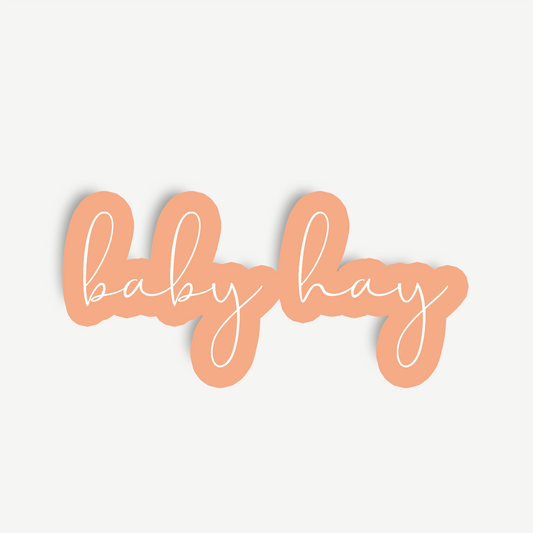 Charlee | Baby Shower Backdrop Sign